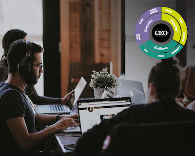 Achieving performance management excellence in a scale-up