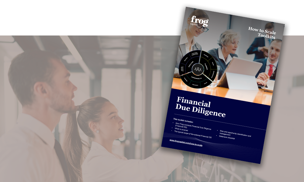 Financial Due Diligence toolkit