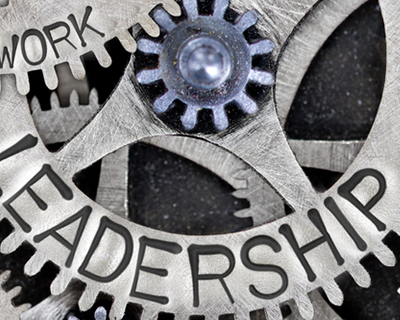 The Leadership Framework: Do Management Bestsellers provide Applicable Insights for CEOs?